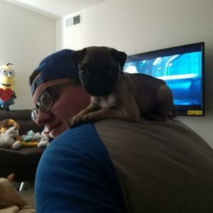 Meet your Posher, Jonathan